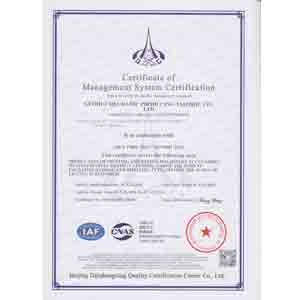 ISO9001 - Large amusement facilities